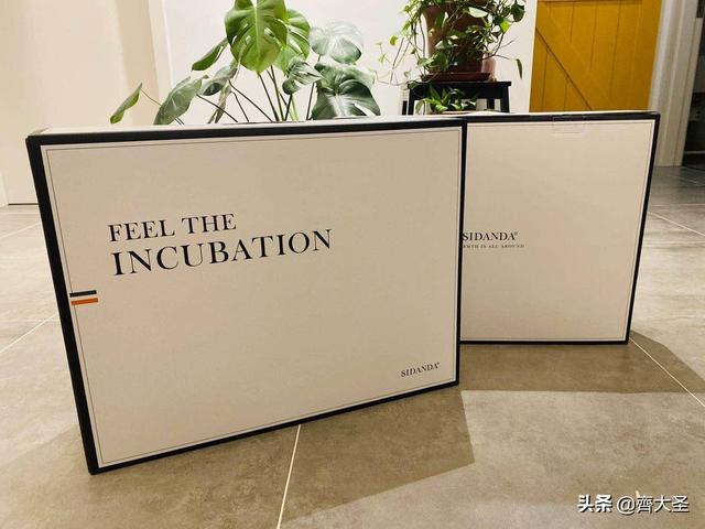 枕头选哪个牌子好，各类枕头乱斗横评