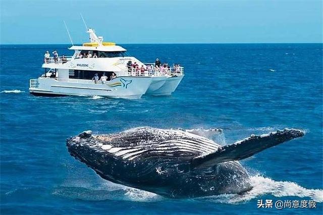 马尔代夫自由行旅游攻略，一个国家的价格玩两国