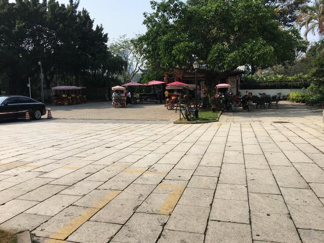 广州哪里可以看海，广州旅游看海的地方（广州这些“无敌海景”碧道藏不住了）