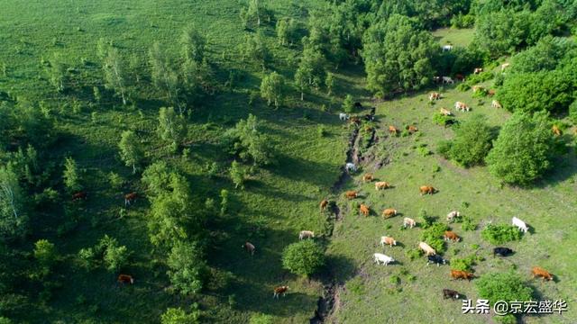 承德坝上草原全景，承德如画美景丰宁坝上草原