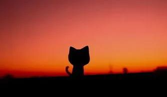 冒险岛记忆中的邂逅，记忆深处冒险岛中那些美好的回忆