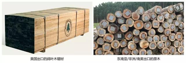 关于北美黑胡桃的优点，源氏木语用的“北美黑胡桃木”到底好在哪