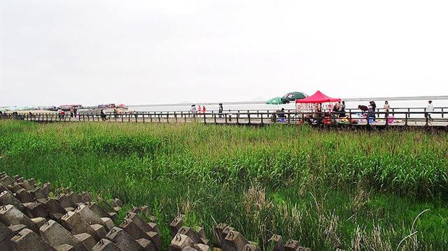 金山免费沙滩地点，周末清凉一“夏”奉贤碧海金沙和金山城市沙滩游玩攻略来啦