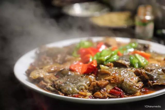 黑龙潭鲶鱼王，电工都搞不定的鲶鱼王