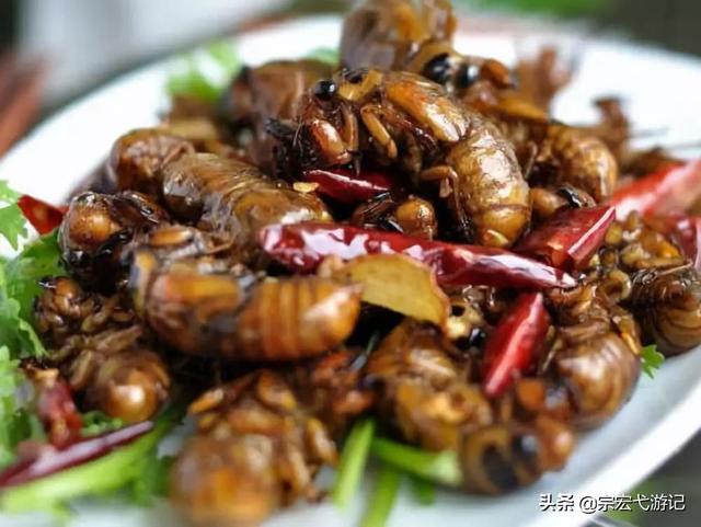 古今云南十八怪，你不知道的“云南十八怪”之风情篇