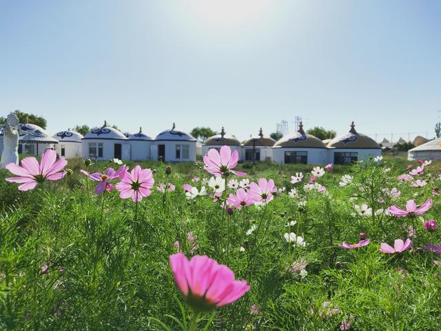 内蒙古鄂尔多斯草原旅游攻略，八月最适合游玩的地方