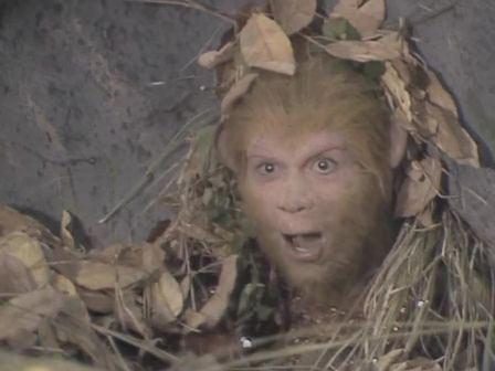 西游记揭秘那些不为人知的秘密，揭密:西游记的十大真相