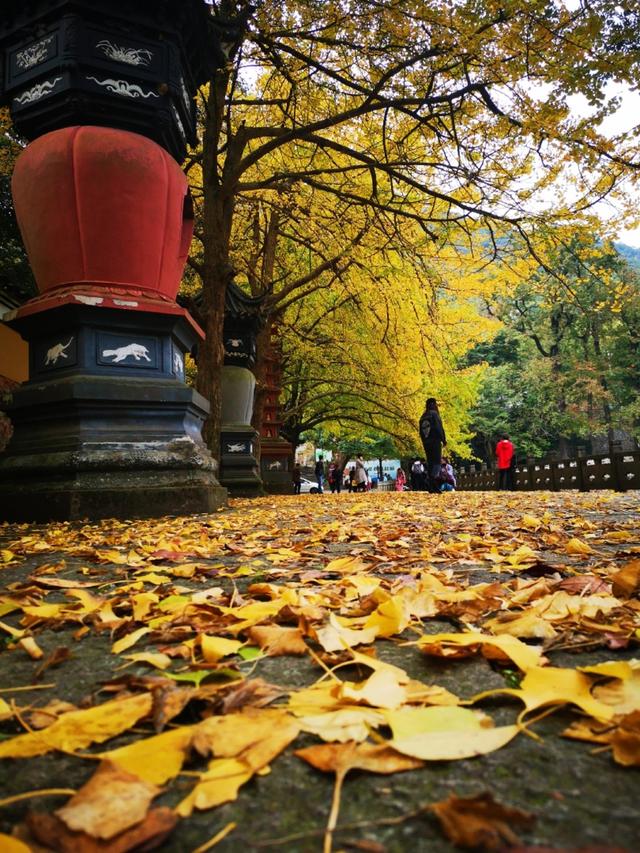 今日宁波旅游攻略，去宁波必做的五件事