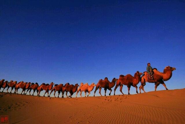 怎样不晕车小妙招，15个小妙方保您旅途一路顺风不再晕车（如何不晕车小妙招）