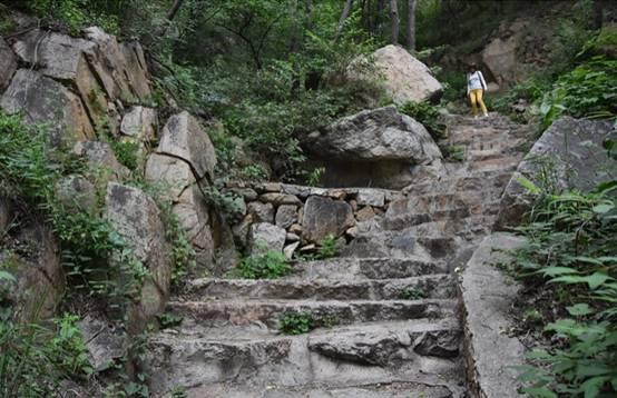 龙潭国家森林公园，龙潭国家森林公园有什么好玩