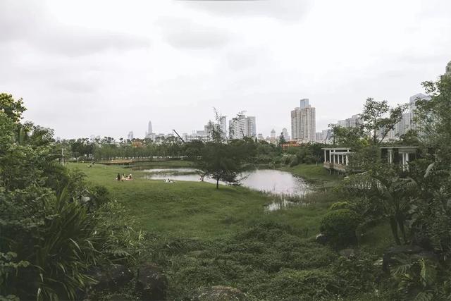 深圳游玩攻略必去的地方免费，7个遛娃好去处全免费
