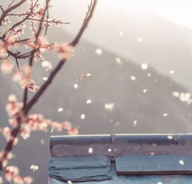 花朵翻译英语怎么说，花开用英语怎么说