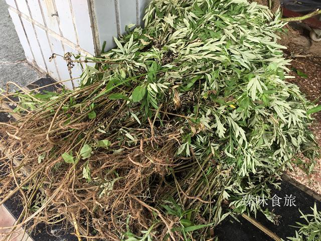 潮汕端午节大家都在赶回家吃粽子，你不知道的潮汕端午节