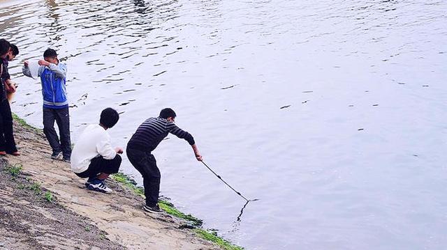 金山免费沙滩地点，周末清凉一“夏”奉贤碧海金沙和金山城市沙滩游玩攻略来啦