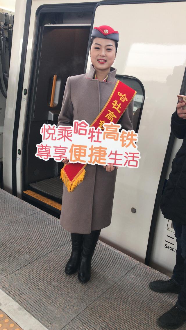 哈牡高铁站名单，盘点一下东北各城市已经投入使用的高铁线路