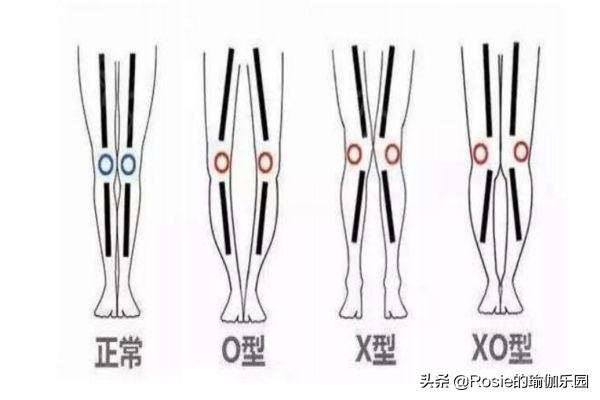 蔣欣長腿細腰超模範兒，如何XO腿變美腿？超模私教帶你3步練 健身減肥達人 第10张