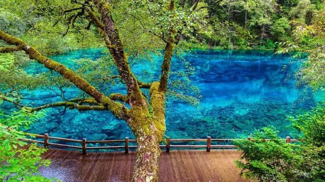 国庆节九寨沟旅游攻略，这份攻略请收好