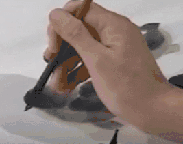 国画小鸡的画法步骤结构图，分步骤讲解《小鸡图》创作画法