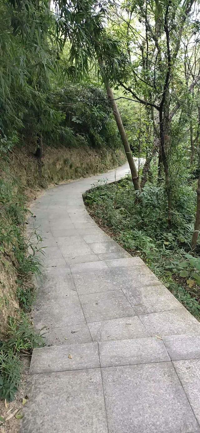 火炉山森林公园爬山多久，走进火炉山森林公园