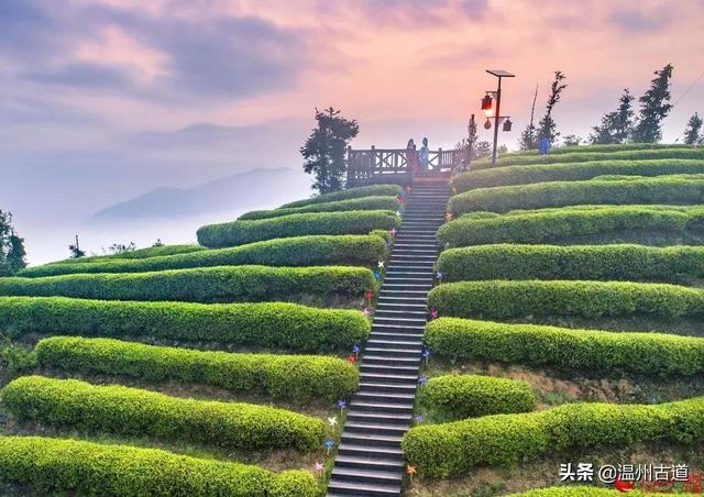 苍南10大名山，苍南的这十座名山，你都爬过吗