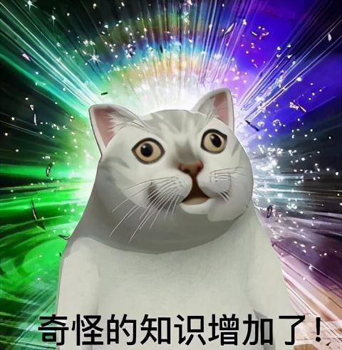 如何从猫咪的肉垫看出性格，猫咪的肉垫形状