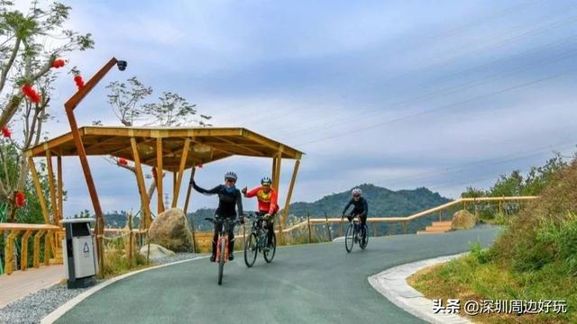 深圳 十佳绿道，深圳最美绿道-龙华区环城绿道羊台山段