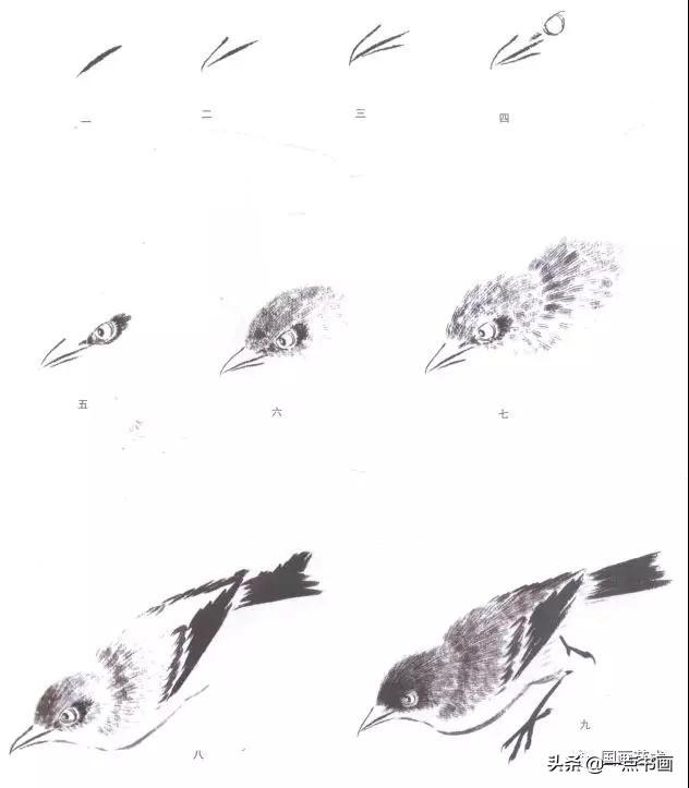 詹仁左写意鸟的画法，国画教程：写意仙鹤画法