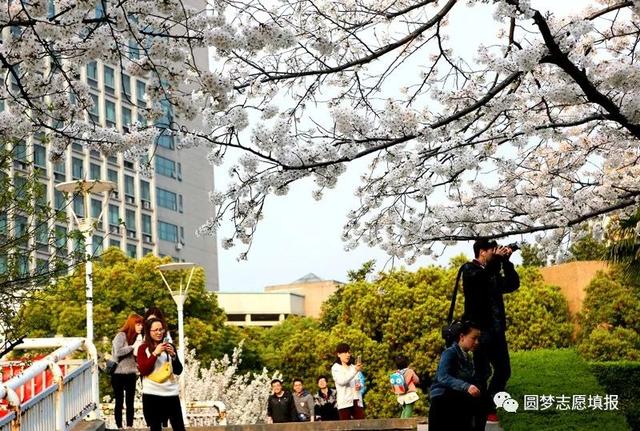 浙江省最好的5所大学名单，浙江省最厉害的12所大学