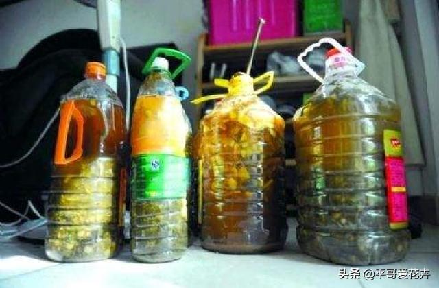 兰花不开花抓住2个，兰花怎么开花快速爆盆