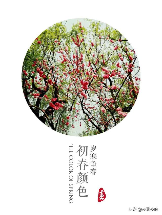 大人肠子打结有危险吗，肠扭转是肠子“打了个结”