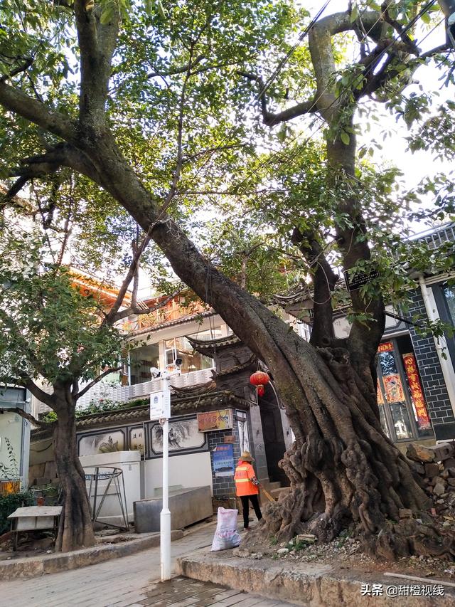 大理洱海和双廊哪里好耍，含沿途10大必打卡景点和介绍