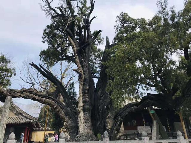 登封旅游景点都有哪些地方可以玩，河南人家门口的宝藏城市