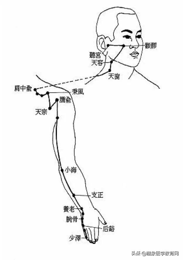 十二经络循行路线，十二经脉循行走向与交接规律图解（<十分钟教你终生不忘）