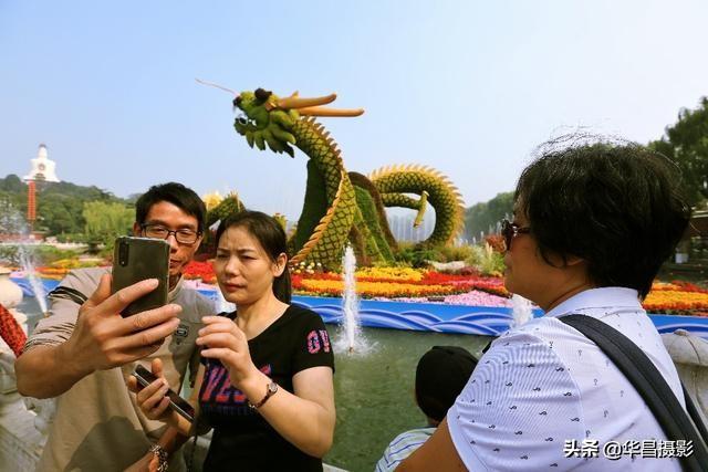 北海市北京路长青公园，北海交警：活用“加减乘除”法