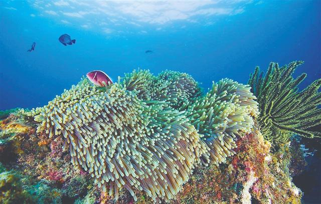 海南岛最佳海滩，海南岛1900多公里海岸线形态各异