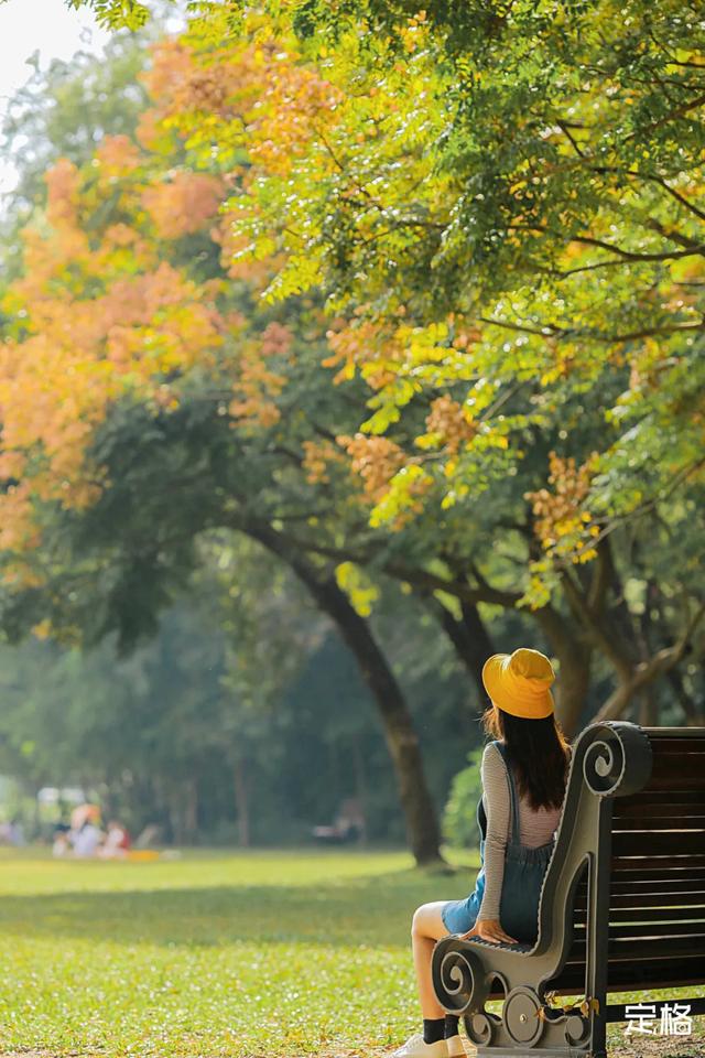 莲花山公园 网红打卡地，莲花山公园又红了