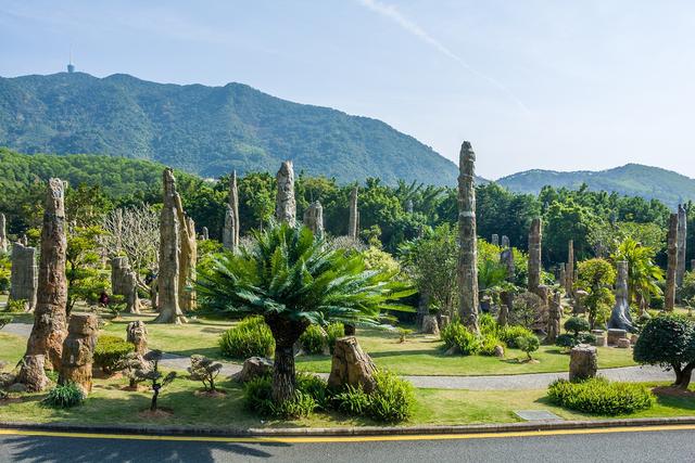 深圳市仙湖植物园，深圳仙湖植物园适合夏天逛吗（深圳仙湖植物园现场实拍图来了）