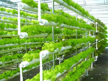 道德经对水的感悟，为什么道德经说