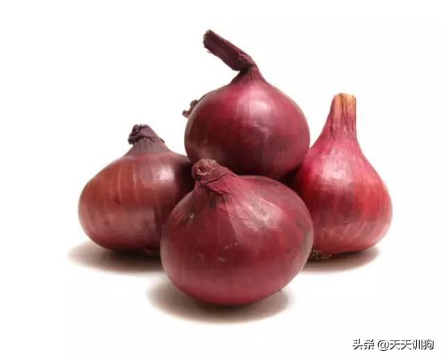 狗为什么会得细小，什么原因导致狗狗得细小（为何却被查出患有细小）