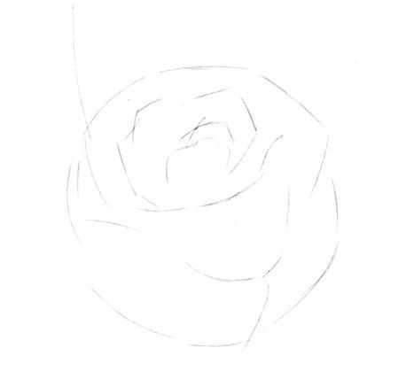 玫瑰画教程图解，玫瑰花图案的手绘方法