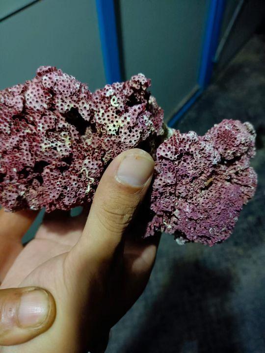 为什么很多人去印尼打工，记录印尼打工生活点滴