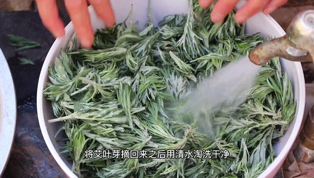 艾叶可以做什么茶，带你们见识艾叶茶制作流程