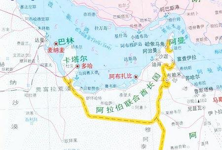 卡塔尔现任国王，二房母女包裹严实