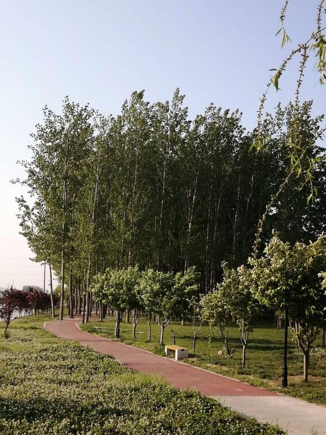 万泉河游览区游玩攻略图，休闲运动的好去处