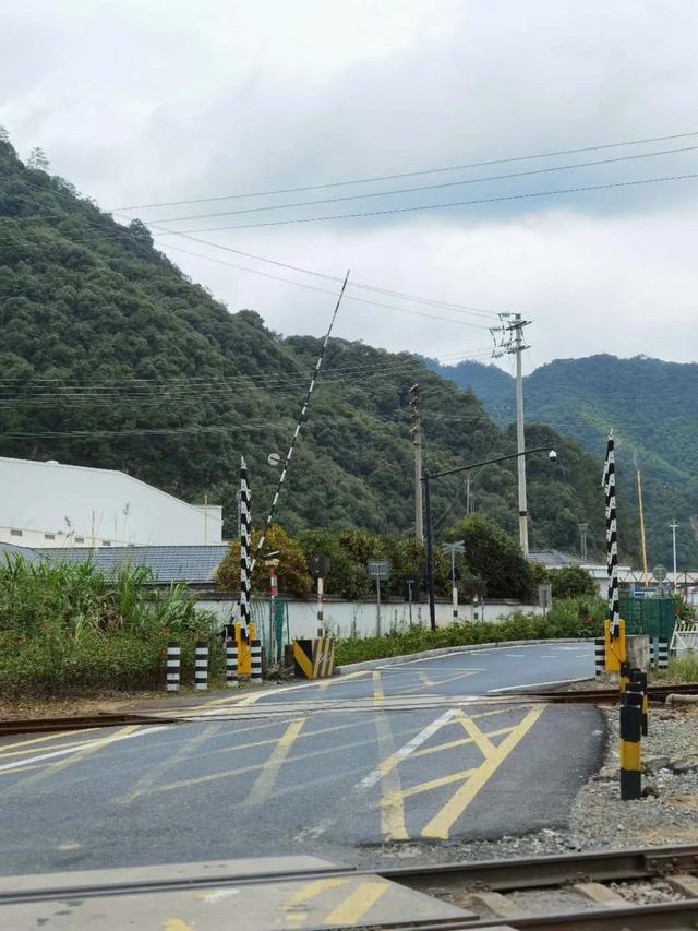 千岛湖旅游攻略，千岛湖旅游攻略最详细（去了不下十次千岛湖）