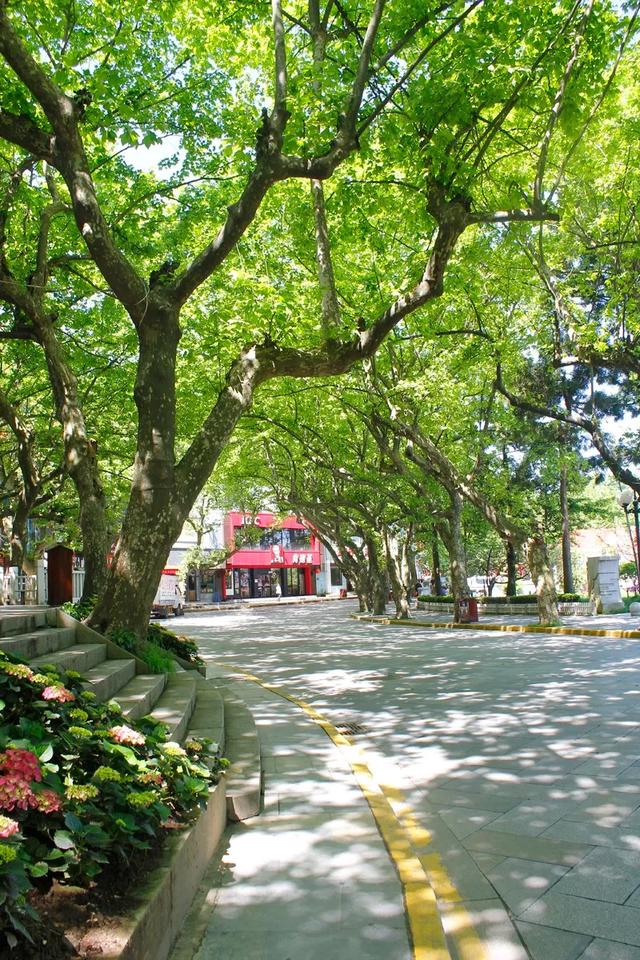 九江免费的旅游景点有哪些，九江最值得去的十大旅游地