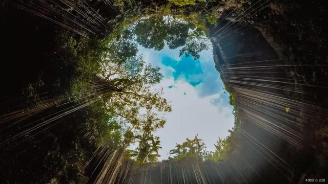 墨西哥娃娃岛的基本资料，墨西哥有个娃娃岛，你敢来吗