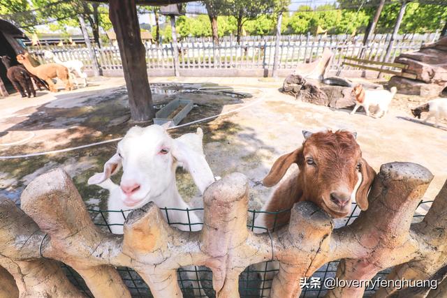 安吉旅游必去的景点，安吉旅游攻略必去景点推荐