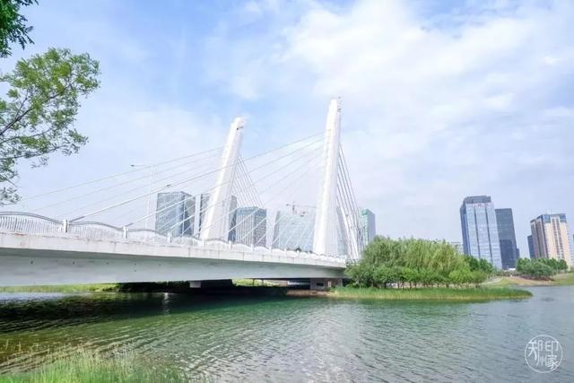 郑州周边免费景点，郑州最近免费旅游景点大全（不出郑州的8个赏花遛娃地）