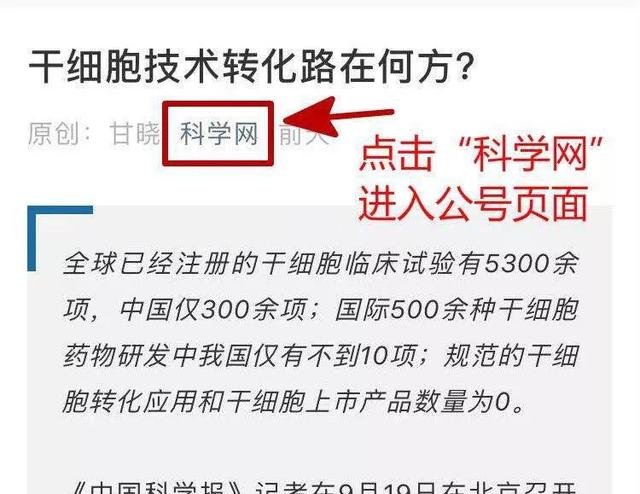 肥胖高血压大鼠(肥胖高血压治疗方法)